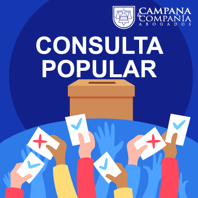 Consulta popular elecciones